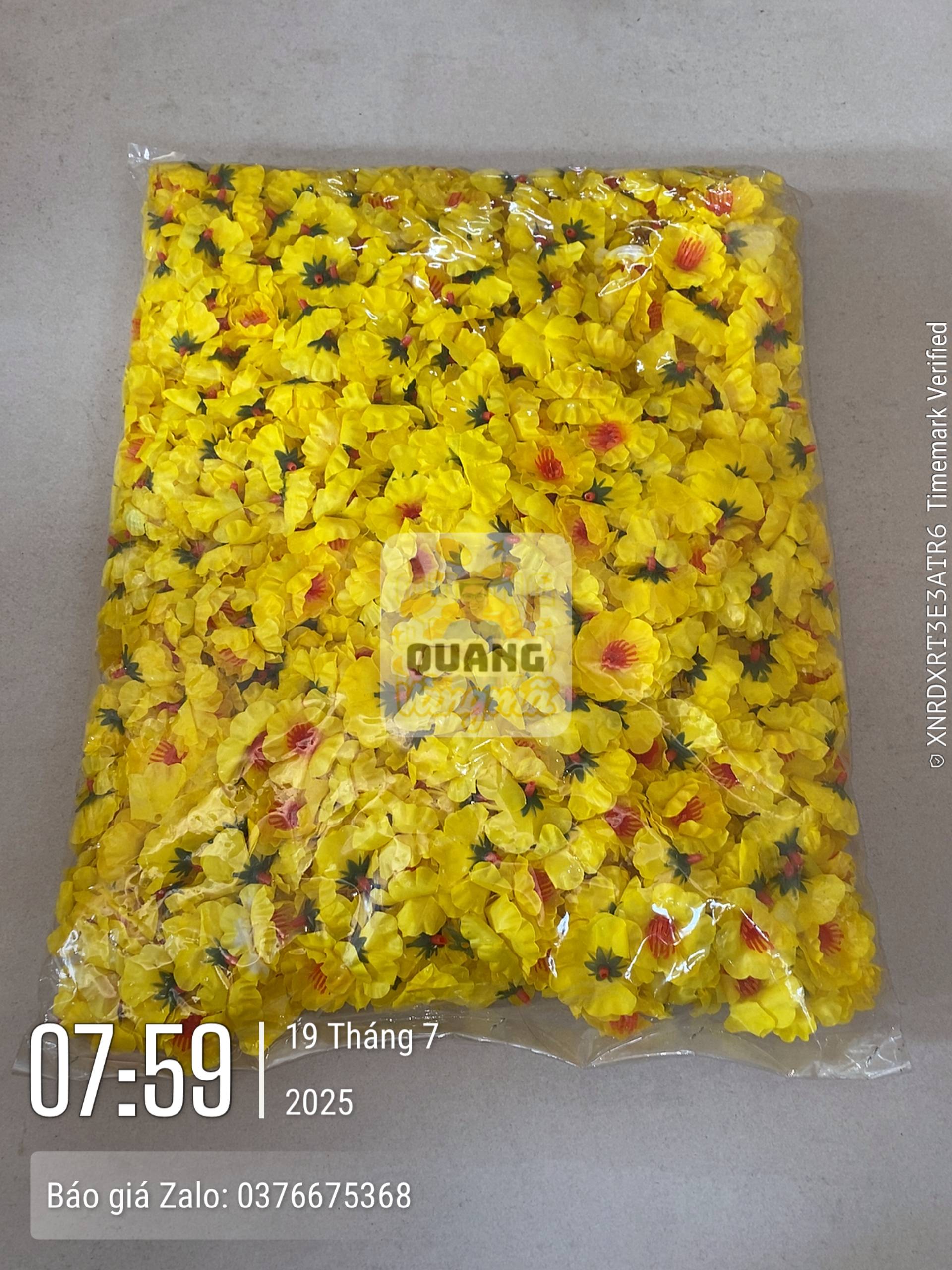 Phụ kiện 29